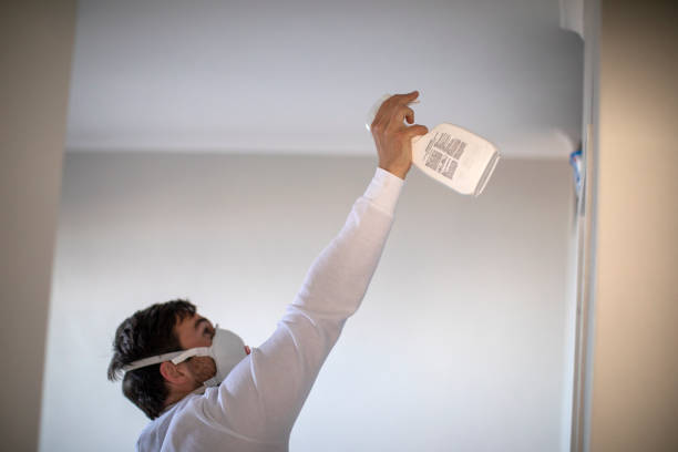 Best Home Mold Removal  in Pierre, SD