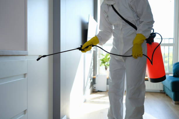 Best Mold Testing  in Pierre, SD