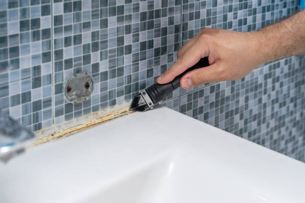 Best Black Mold Removal  in Pierre, SD