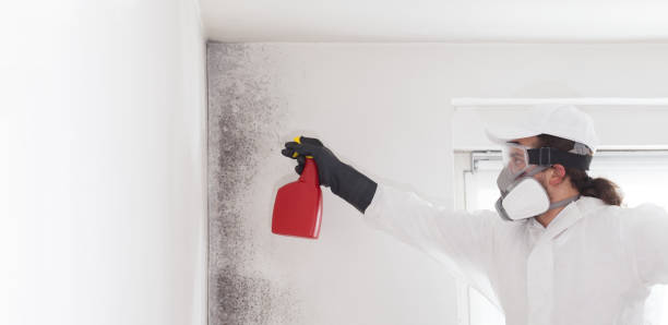Best Mold Cleaning Services  in Pierre, SD
