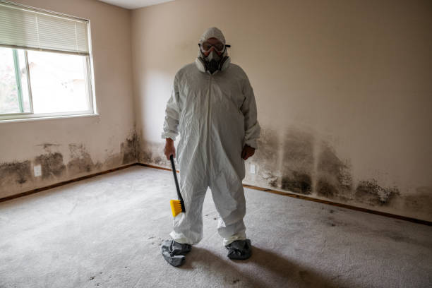 Best Toxic Mold Removal  in Pierre, SD